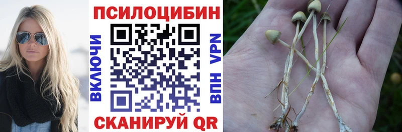 Галлюциногенные грибы мицелий  Купить где  Грайворон 